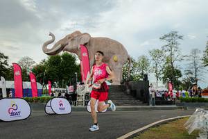 BIB: 
                            <button type="button" onclick="openModal(26528459)" class="btn btn-primary btn-sm float-right btn-popup" data-toggle="modal" data-target=".modal-high-quality">
                        <i class="fas fa-shopping-cart"></i> Add to Cart
                    </button>
                                            <button type="button" onclick="isThisMe(26528459, true)" class="btn btn-success btn-sm float-right btn-popup btn-isme hidden" data-toggle="tooltip" data-placement="bottom" title="นี่คือรูปของคุณใช่ไหม คลิกที่นี่เพื่อเอาเข้าอัลบั้ม">
                        <i class="fas fa-plus"></i> Add to album
                    </button>
                    <button type="button" onclick="isThisMe(26528459, false)" class="btn btn-warning btn-sm float-right btn-popup btn-isnotme hidden">
                        <i class="fas fa-ban"></i> Remove from album
                    </button>